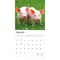 Piglets | 2026 12 x 24 Inch (Hanging) Monthly Square Wall Calendar | Plastic-Free